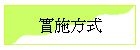 實施方式